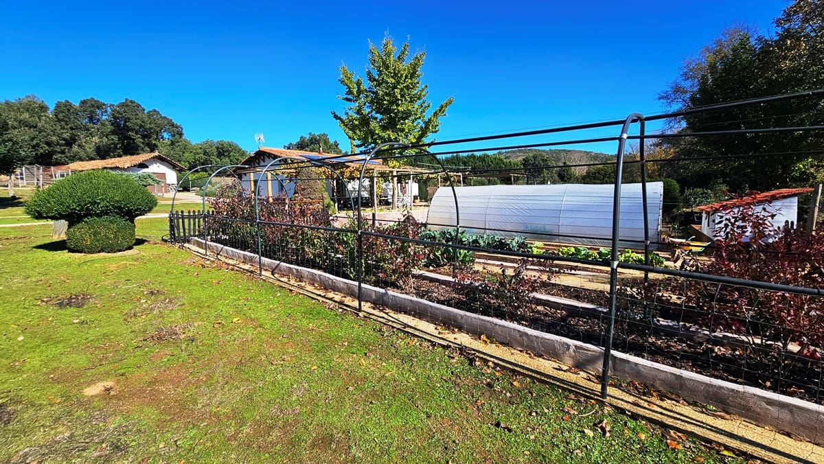 Finca/Casa Rural de 4 habitaciones en Cortelazor en venta con piscina - 398.000 € (Ref: 9471055)