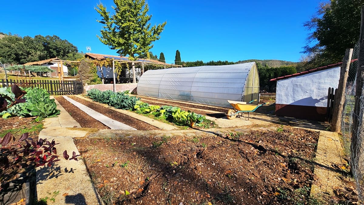 Finca/Casa Rural de 4 habitaciones en Cortelazor en venta con piscina - 398.000 € (Ref: 9471055)