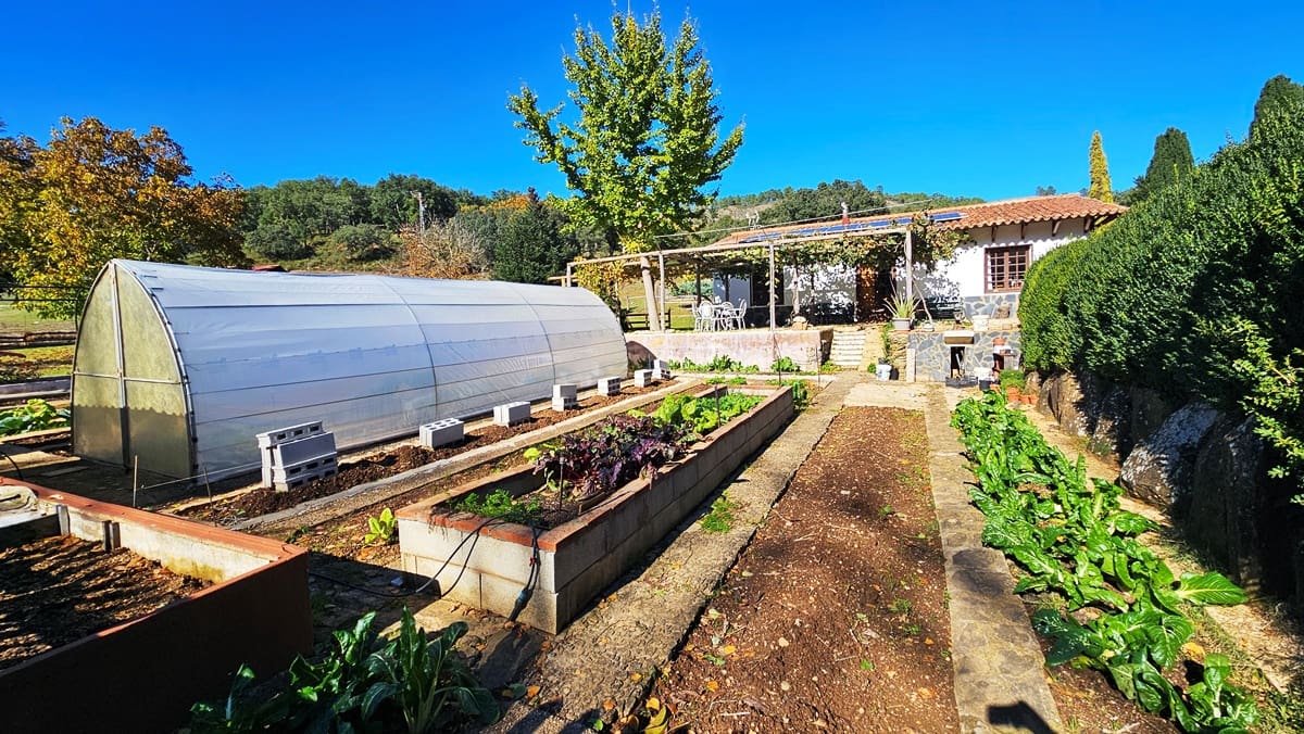 Finca/Casa Rural de 4 habitaciones en Cortelazor en venta con piscina - 398.000 € (Ref: 9471055)