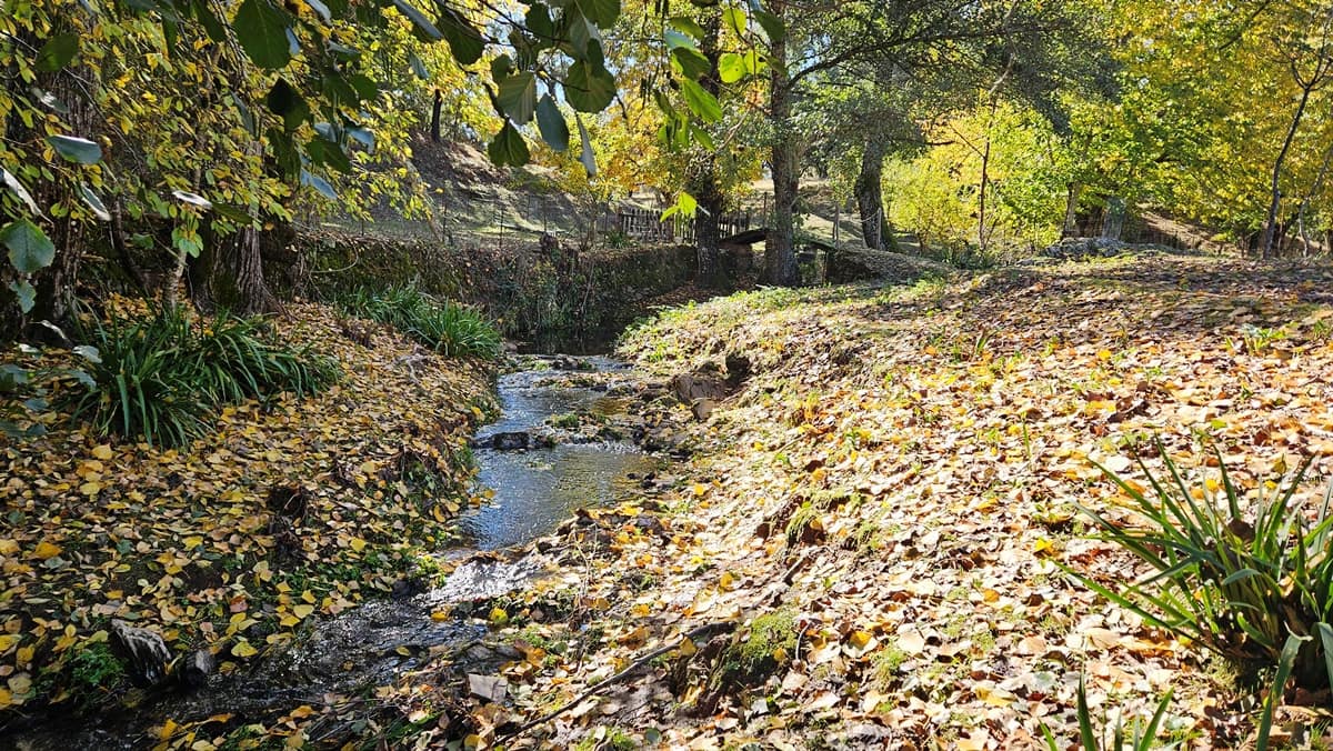Finca/Casa Rural de 4 habitaciones en Cortelazor en venta con piscina - 398.000 € (Ref: 9471055)