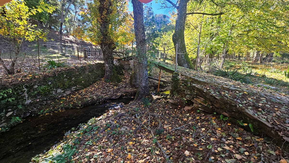 Finca/Casa Rural de 4 habitaciones en Cortelazor en venta con piscina - 398.000 € (Ref: 9471055)