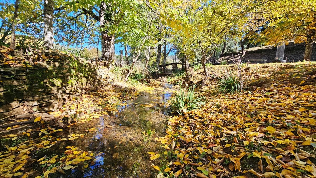 Finca/Casa Rural de 4 habitaciones en Cortelazor en venta con piscina - 398.000 € (Ref: 9471055)