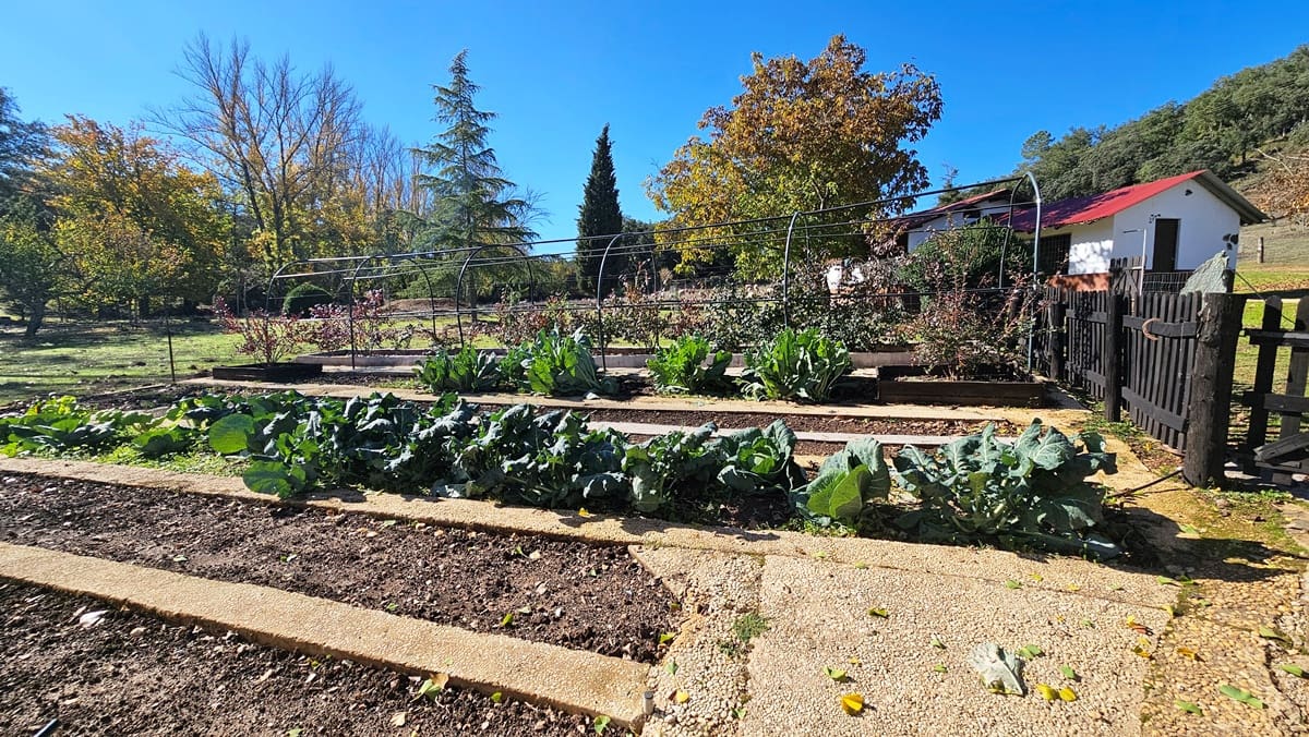 Finca/Casa Rural de 4 habitaciones en Cortelazor en venta con piscina - 398.000 € (Ref: 9471055)