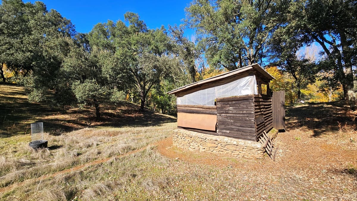 Finca/Casa Rural de 4 habitaciones en Cortelazor en venta con piscina - 398.000 € (Ref: 9471055)