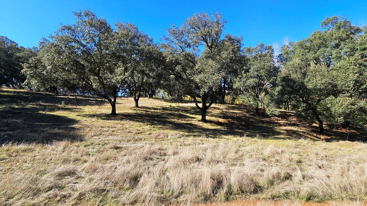 Finca/Casa Rural de 4 habitaciones en Cortelazor en venta con piscina - 398.000 € (Ref: 9471055)