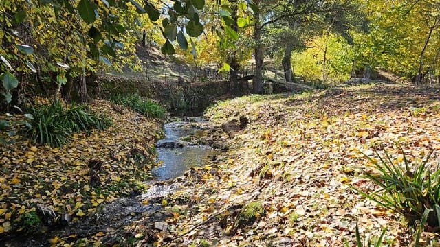 4 bedroom Finca/Country House for sale in Cortelazor with pool - € 398,000 (Ref: 9471055)