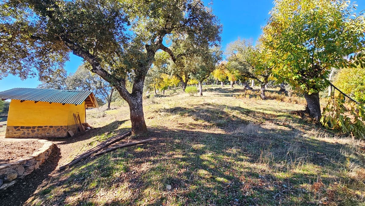 Finca/Casa Rural de 4 habitaciones en Cortelazor en venta con piscina - 398.000 € (Ref: 9471055)