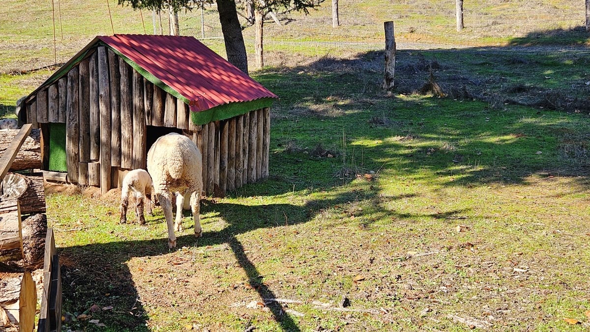 Finca/Casa Rural de 4 habitaciones en Cortelazor en venta con piscina - 398.000 € (Ref: 9471055)