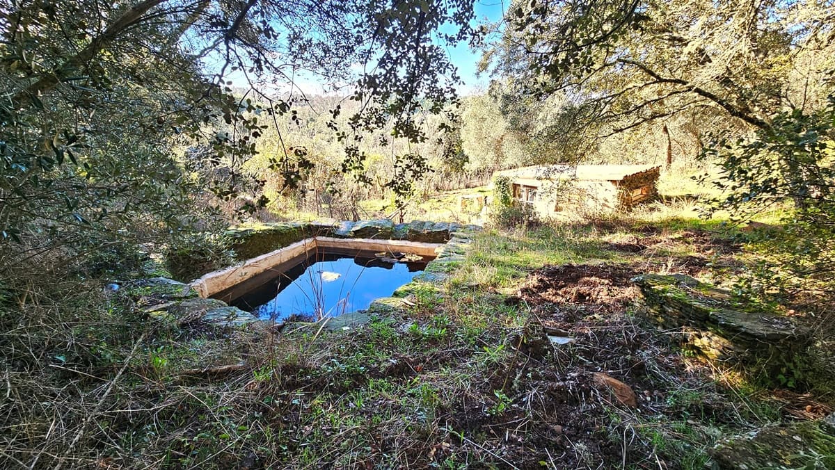 3 soveværelse Finca/Landehus til salg i Los Marines med swimmingpool - € 295.000 (Ref: 9541738)