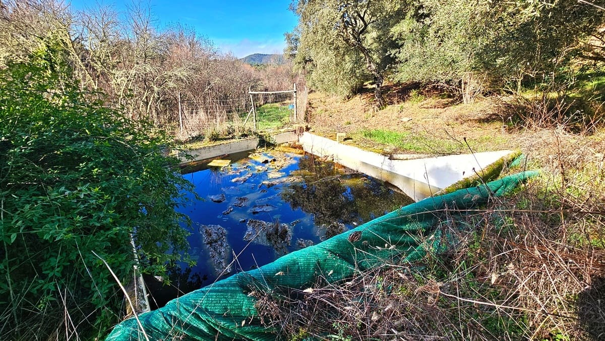 3 soveværelse Finca/Landehus til salg i Los Marines med swimmingpool - € 295.000 (Ref: 9541738)