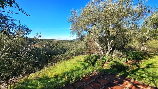 3 soveværelse Finca/Landehus til salg i Los Marines med swimmingpool - € 295.000 (Ref: 9541738)