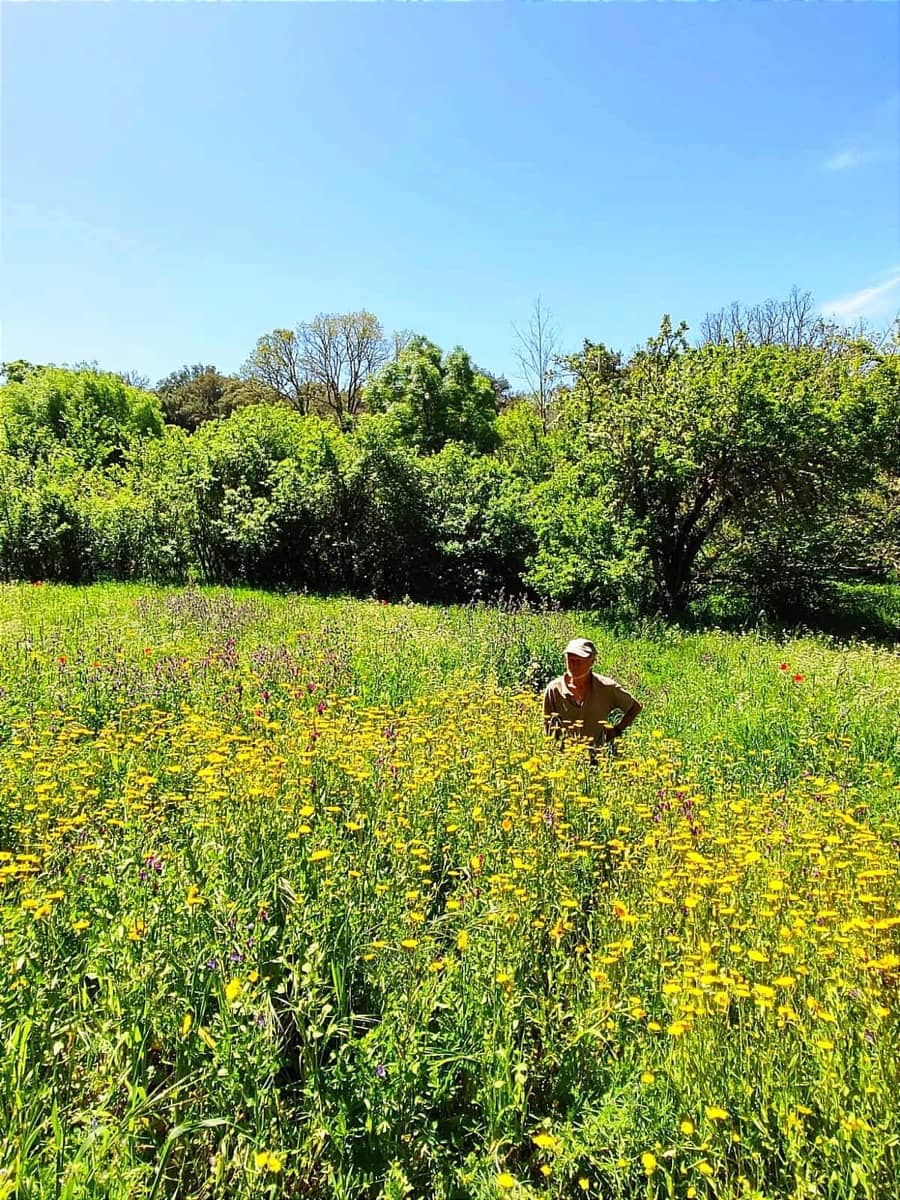 3 soveværelse Finca/Landehus til salg i Los Marines med swimmingpool - € 295.000 (Ref: 9541738)