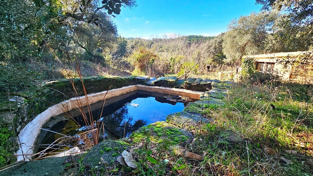 3 soveværelse Finca/Landehus til salg i Los Marines med swimmingpool - € 295.000 (Ref: 9541738)