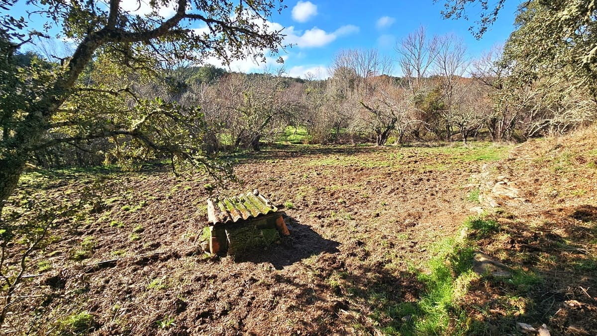 3 soveværelse Finca/Landehus til salg i Los Marines med swimmingpool - € 295.000 (Ref: 9541738)