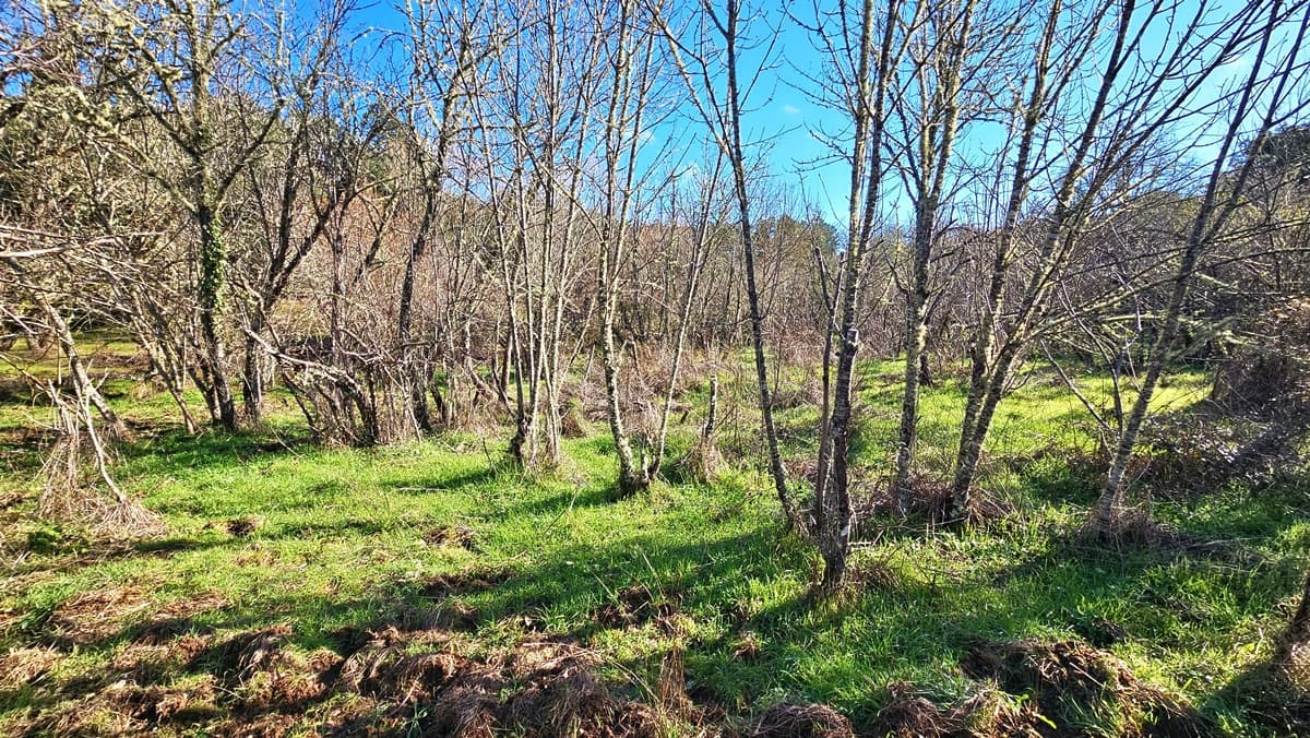 3 soveværelse Finca/Landehus til salg i Los Marines med swimmingpool - € 295.000 (Ref: 9541738)