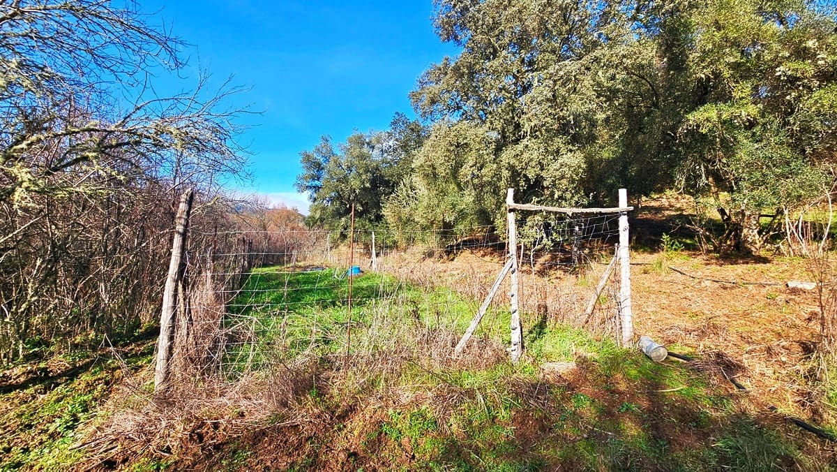 3 soveværelse Finca/Landehus til salg i Los Marines med swimmingpool - € 295.000 (Ref: 9541738)