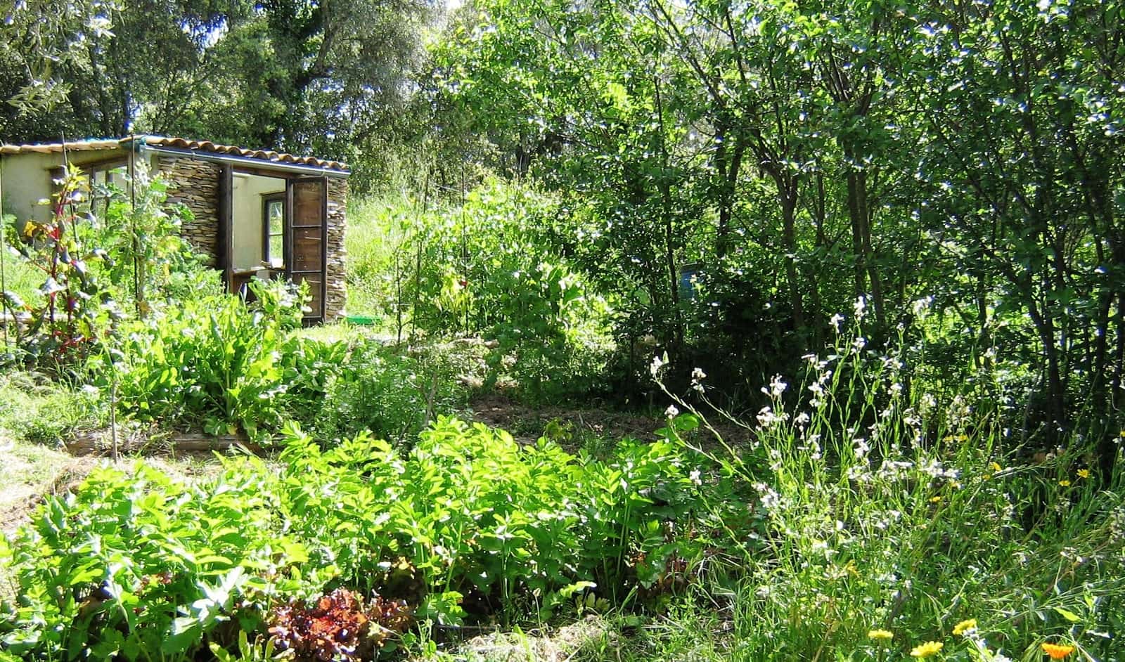 3 soveværelse Finca/Landehus til salg i Los Marines med swimmingpool - € 295.000 (Ref: 9541738)