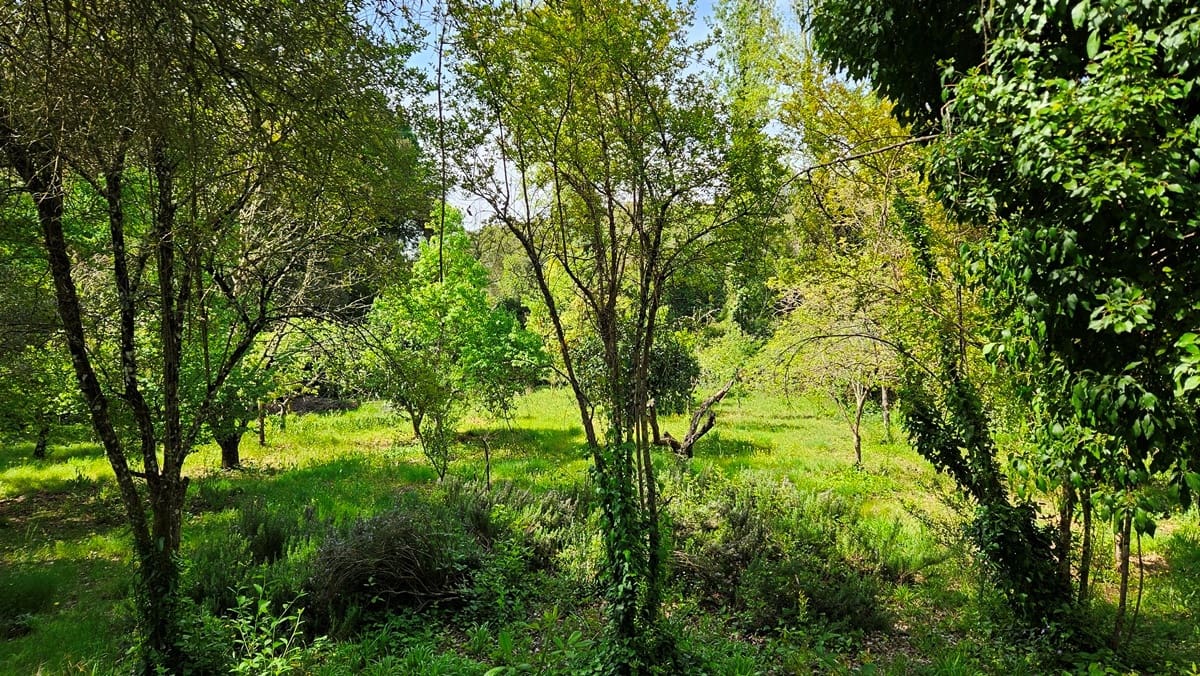 3 bedroom Finca/Country House for sale in Santa Ana la Real - € 290,000 (Ref: 9800785)