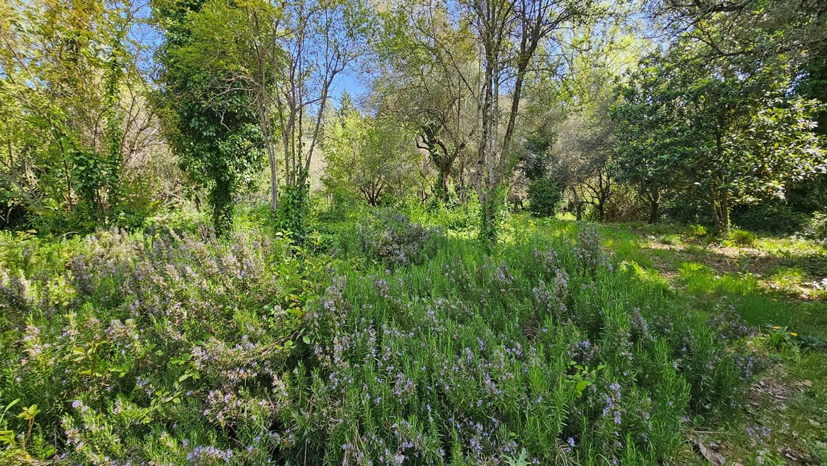 3 bedroom Finca/Country House for sale in Santa Ana la Real - € 290,000 (Ref: 9800785)