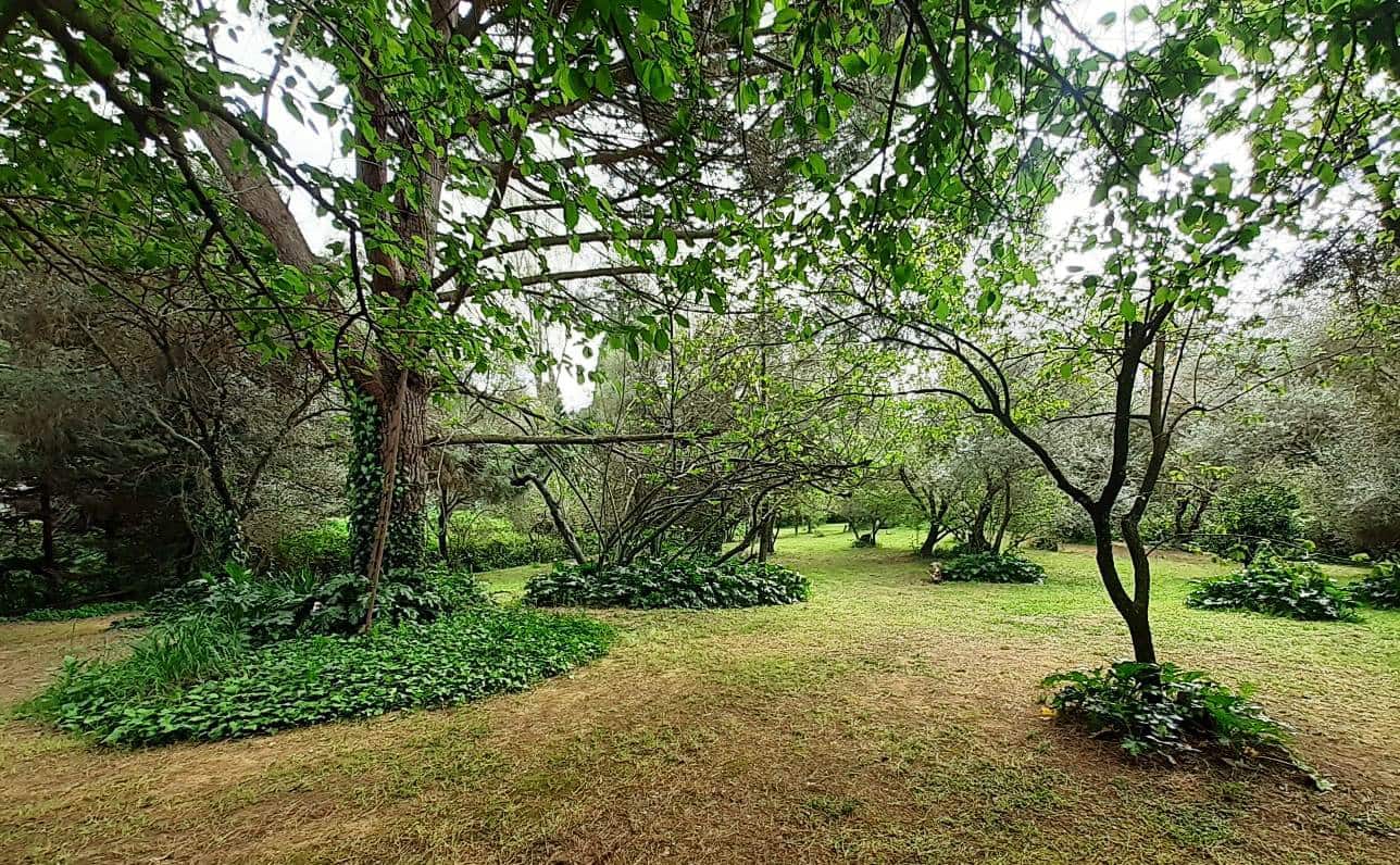 3 bedroom Finca/Country House for sale in Santa Ana la Real - € 290,000 (Ref: 9800785)