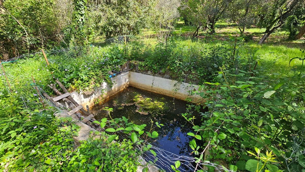 3 bedroom Finca/Country House for sale in Santa Ana la Real - € 290,000 (Ref: 9800785)