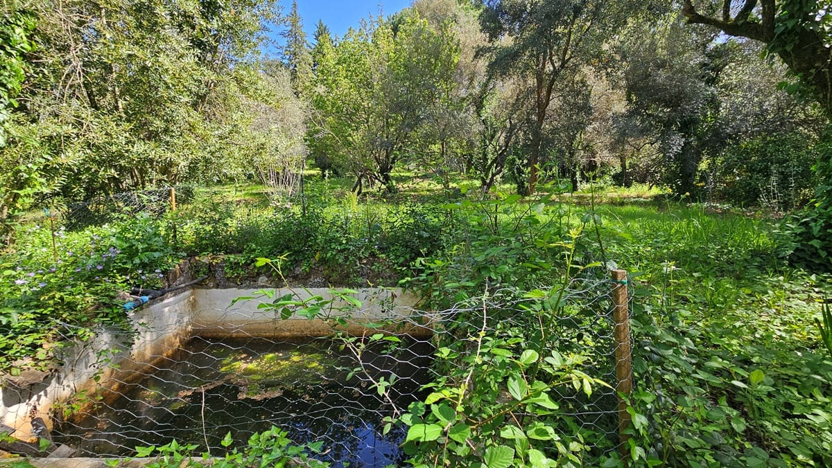 3 bedroom Finca/Country House for sale in Santa Ana la Real - € 290,000 (Ref: 9800785)