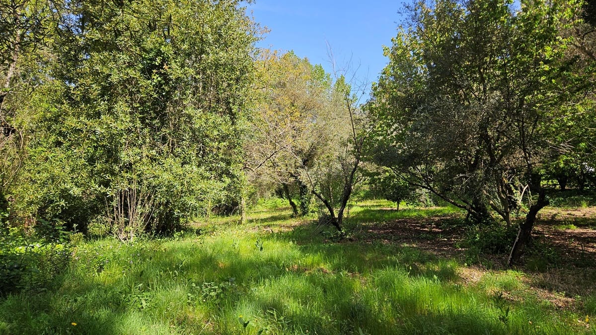 3 bedroom Finca/Country House for sale in Santa Ana la Real - € 290,000 (Ref: 9800785)