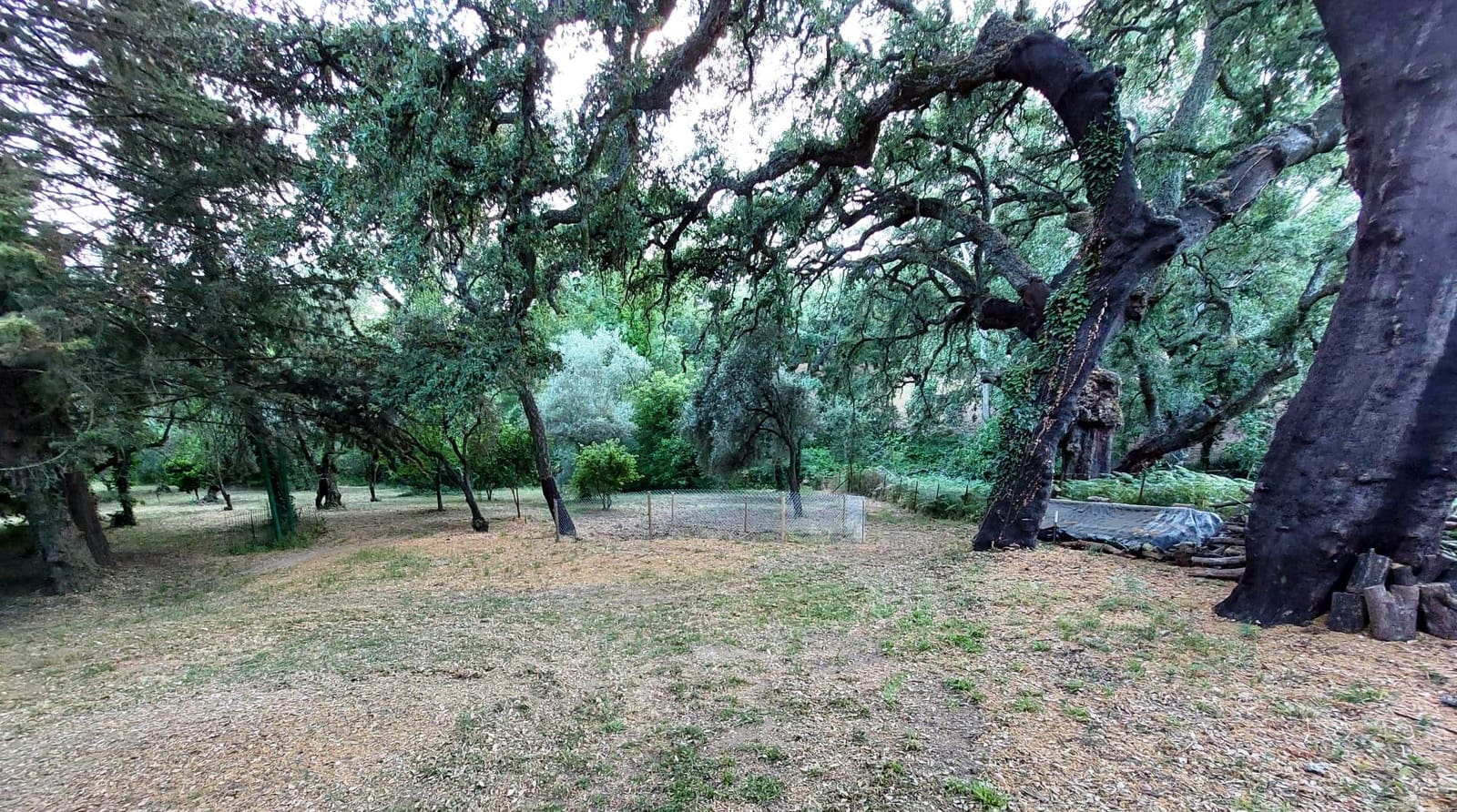 3 bedroom Finca/Country House for sale in Santa Ana la Real - € 290,000 (Ref: 9800785)