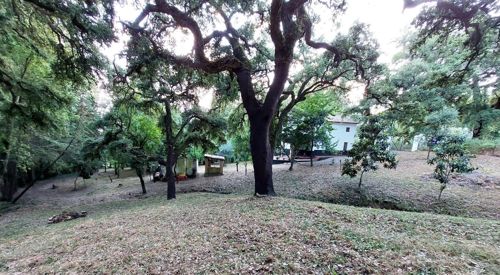 3 bedroom Finca/Country House for sale in Santa Ana la Real - € 290,000 (Ref: 9800785)