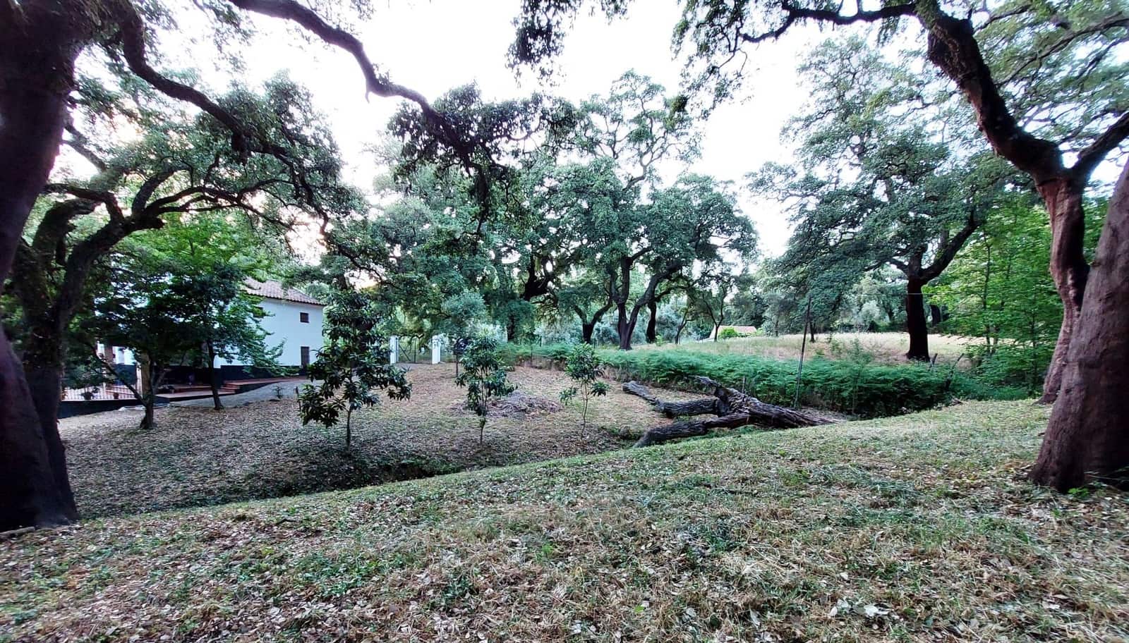 3 bedroom Finca/Country House for sale in Santa Ana la Real - € 290,000 (Ref: 9800785)