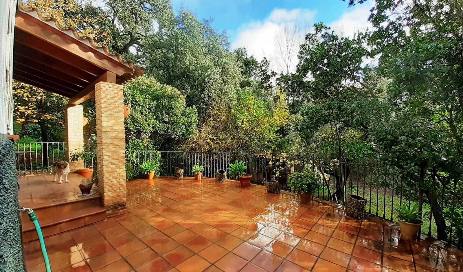 3 bedroom Finca/Country House for sale in Santa Ana la Real - € 290,000 (Ref: 9800785)