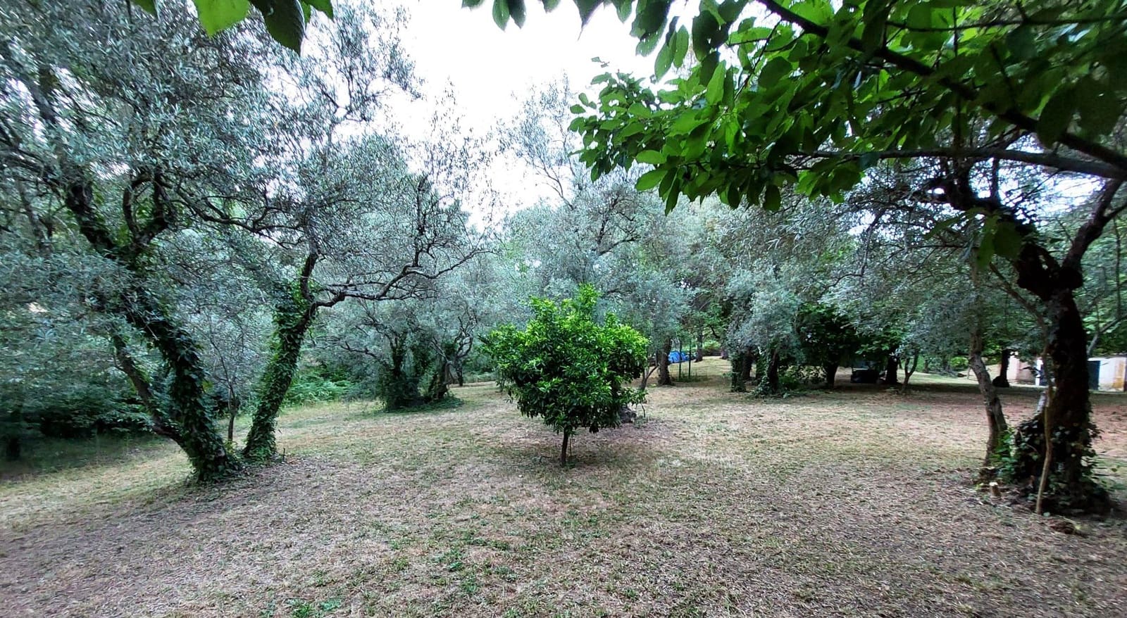 3 bedroom Finca/Country House for sale in Santa Ana la Real - € 290,000 (Ref: 9800785)