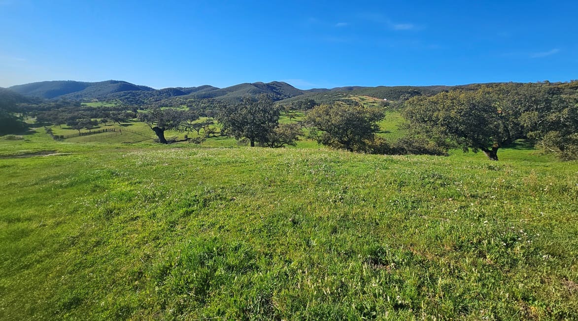 4 bedroom Finca/Country House for sale in Aracena - € 750,000 (Ref: 9857777)