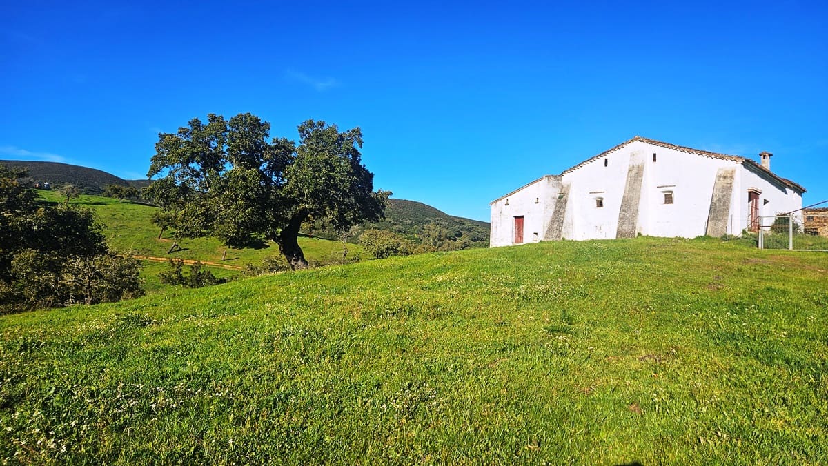 4 bedroom Finca/Country House for sale in Aracena - € 750,000 (Ref: 9857777)