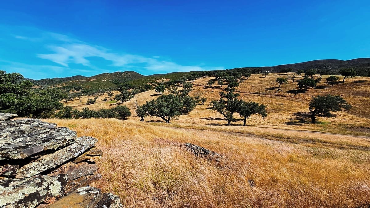 4 bedroom Finca/Country House for sale in Aracena - € 750,000 (Ref: 9857777)