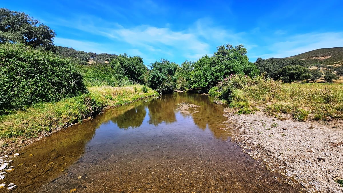4 bedroom Finca/Country House for sale in Aracena - € 750,000 (Ref: 9857777)