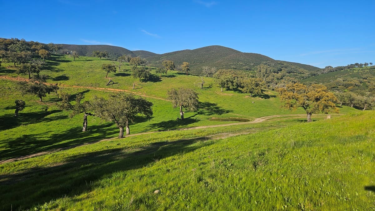 4 bedroom Finca/Country House for sale in Aracena - € 750,000 (Ref: 9857777)