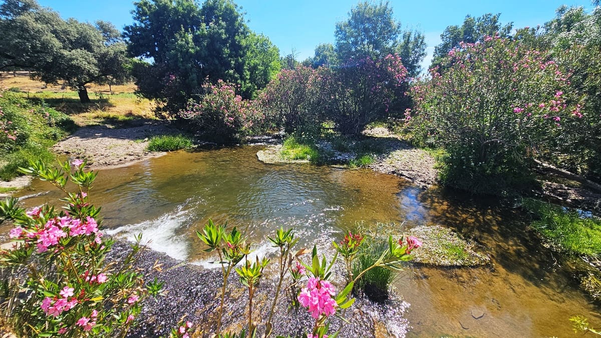 4 bedroom Finca/Country House for sale in Aracena - € 750,000 (Ref: 9857777)
