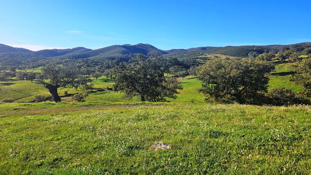 4 bedroom Finca/Country House for sale in Aracena - € 750,000 (Ref: 9857777)