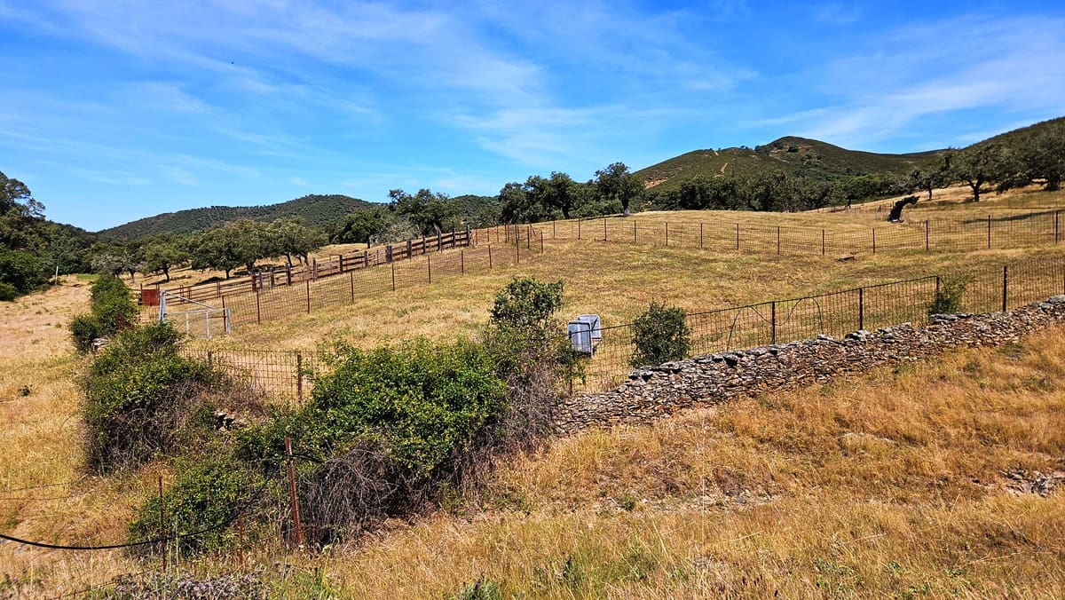 4 bedroom Finca/Country House for sale in Aracena - € 750,000 (Ref: 9857777)