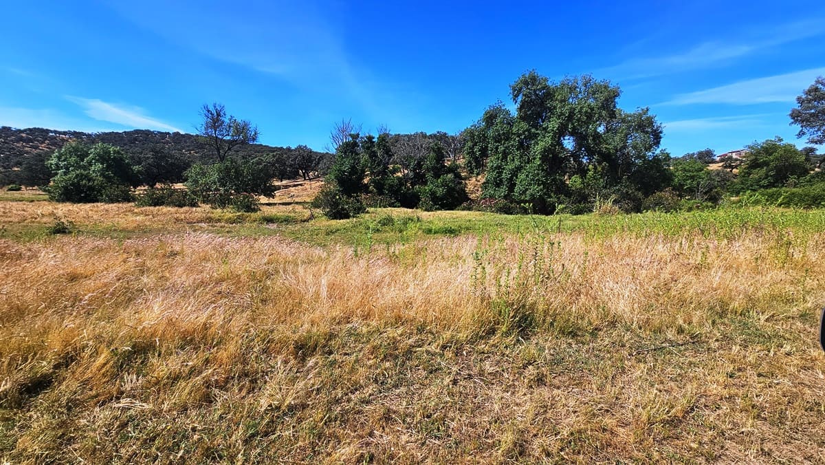 4 bedroom Finca/Country House for sale in Aracena - € 750,000 (Ref: 9857777)