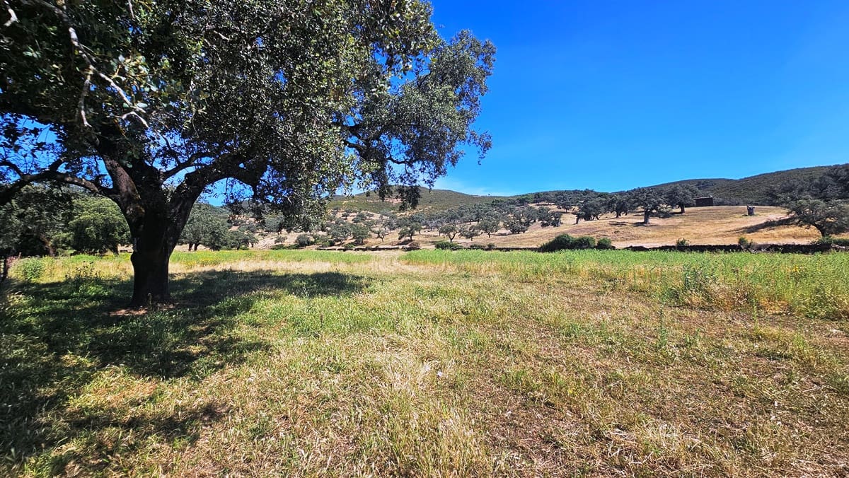 4 bedroom Finca/Country House for sale in Aracena - € 750,000 (Ref: 9857777)