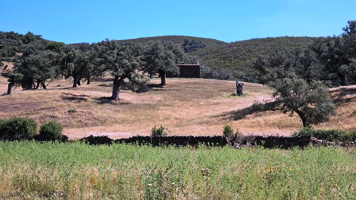 4 bedroom Finca/Country House for sale in Aracena - € 750,000 (Ref: 9857777)