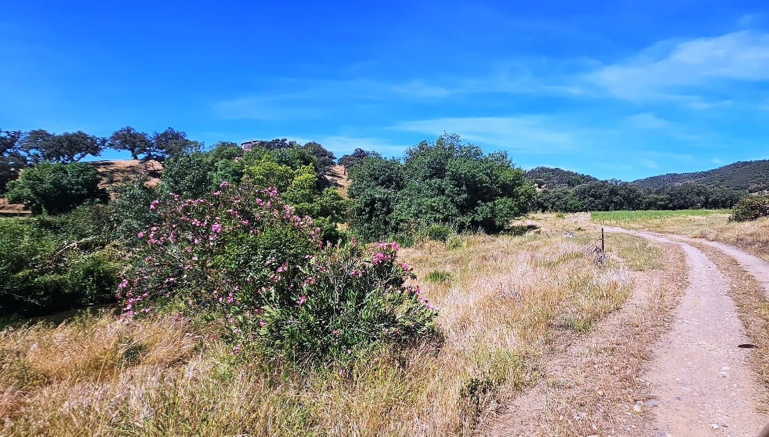 4 bedroom Finca/Country House for sale in Aracena - € 750,000 (Ref: 9857777)