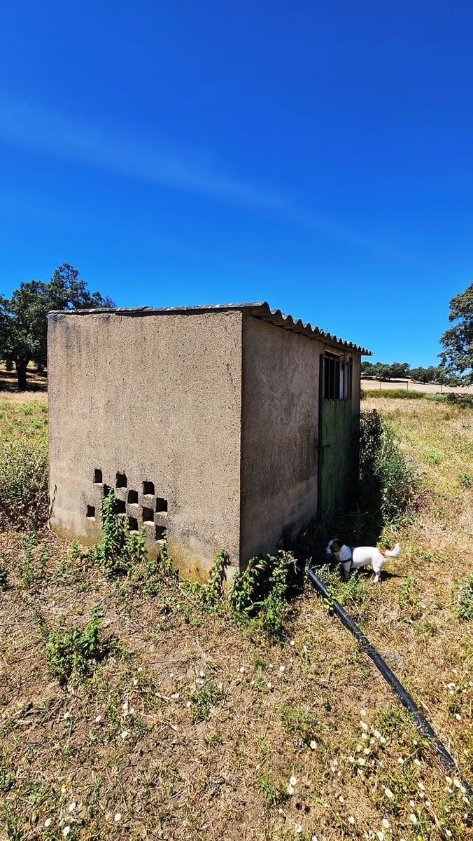 4 sypialnia Finka/Dom wiejski na sprzedaż w Higuera de la Sierra z basenem - 350 000 € (Ref: 9883457)