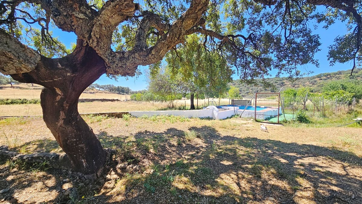 4 sypialnia Finka/Dom wiejski na sprzedaż w Higuera de la Sierra z basenem - 350 000 € (Ref: 9883457)