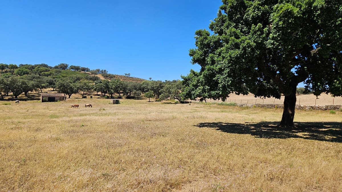 4 sypialnia Finka/Dom wiejski na sprzedaż w Higuera de la Sierra z basenem - 350 000 € (Ref: 9883457)