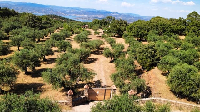 1 soverom Finca/Herregård til salgs i Puerto Moral - € 247 000 (Ref: 9929762)