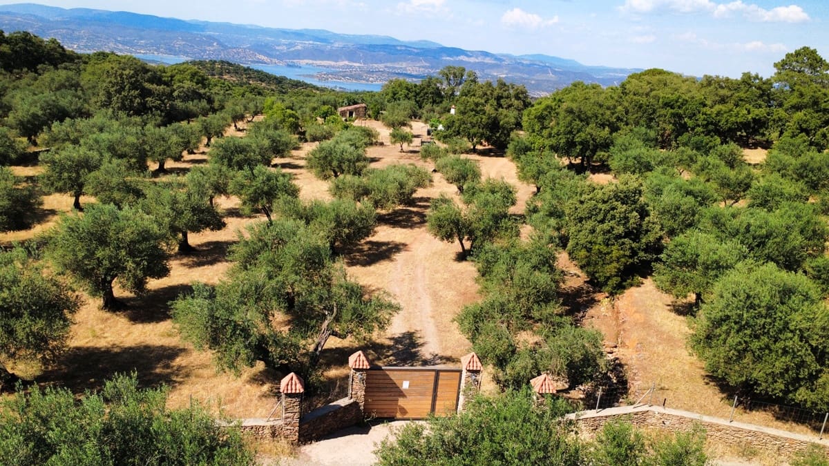 1 bedroom Finca/Country House for sale in Puerto Moral - € 247,000 (Ref: 9929762)