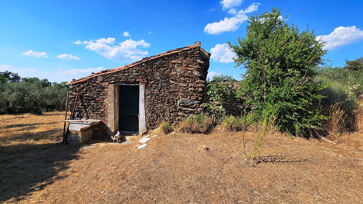 1 bedroom Finca/Country House for sale in Puerto Moral - € 247,000 (Ref: 9929762)